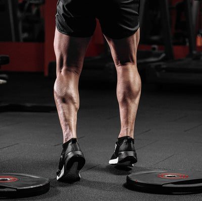 Calves
